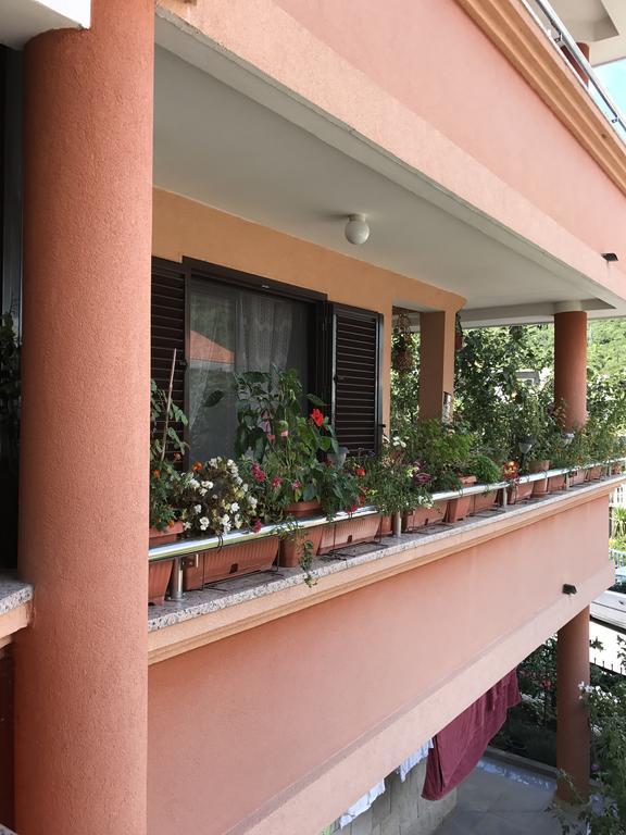 Apartments Zvicer - Milica Budua Esterno foto